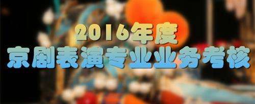 操骚粉逼国家京剧院2016年度京剧表演专业业务考...